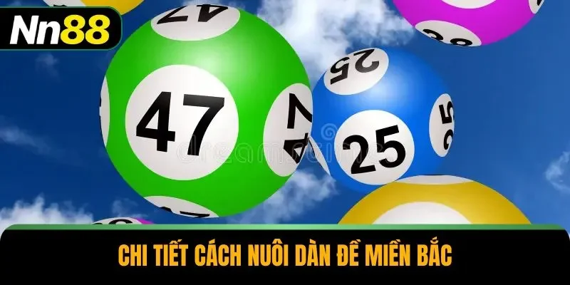 Chi tiết cách nuôi dàn đề miền Bắc