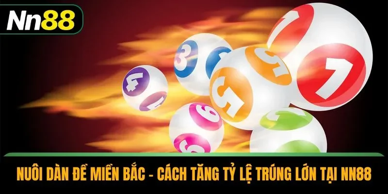 Nuôi Dàn Đề Miền Bắc - Cách Tăng Tỷ Lệ Trúng Lớn Tại NN88
